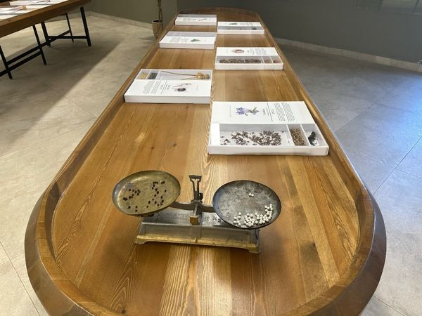 Rayiha Baharat Müzesi